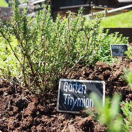 Silvretta Montafon Отель 4*